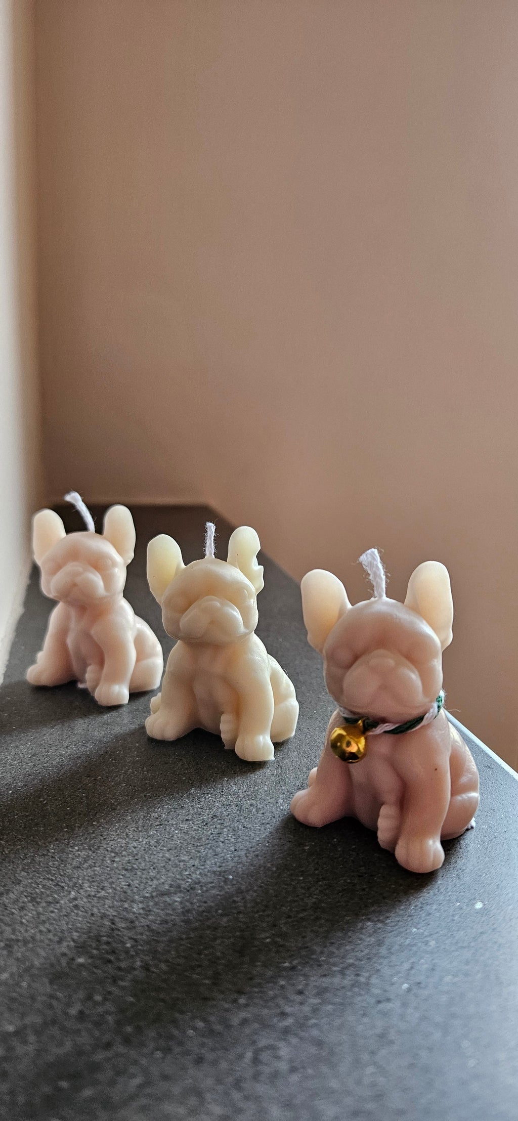 Otto collection 🐾