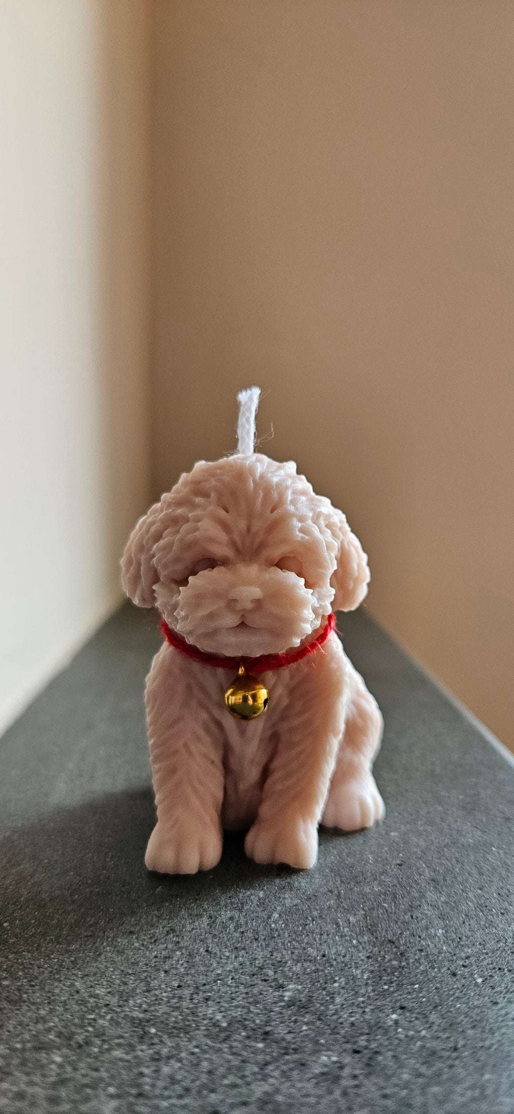 Otto collection 🐾