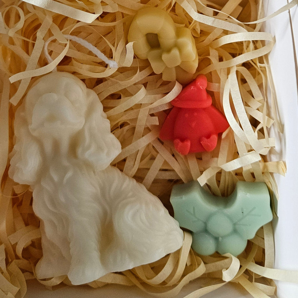 Otto collection 🐾