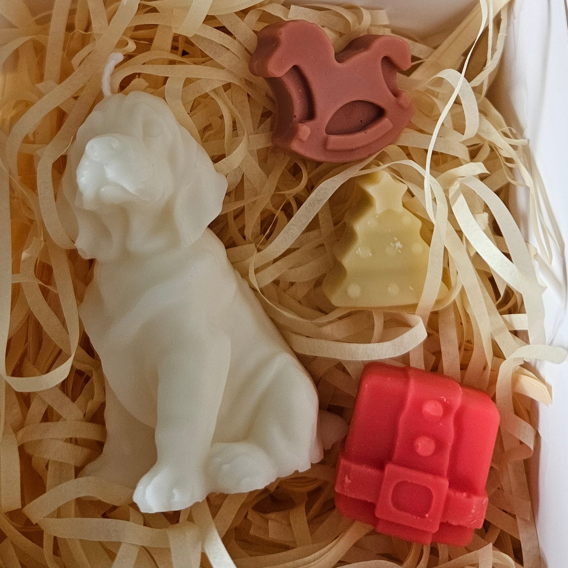 Otto collection 🐾