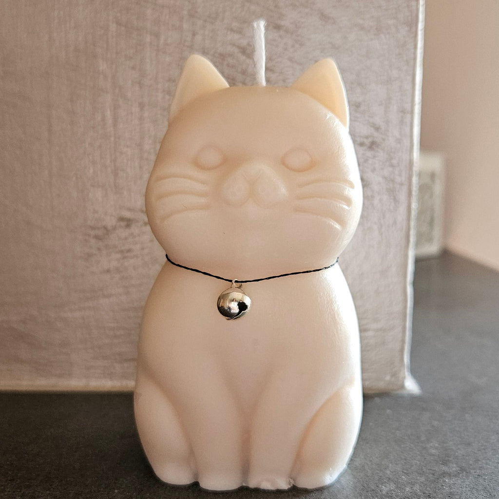 Otto collection 🐾