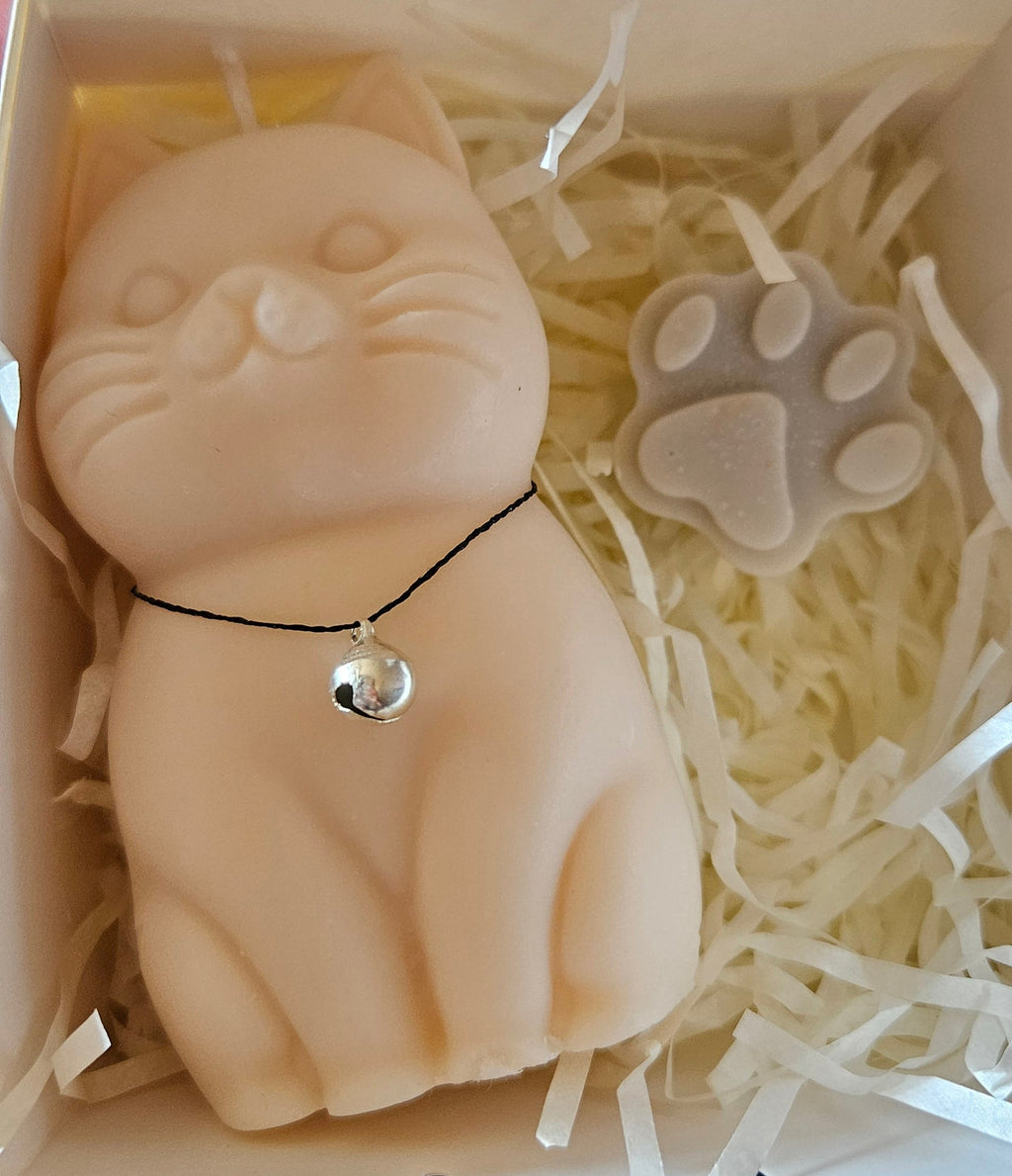 Otto collection 🐾