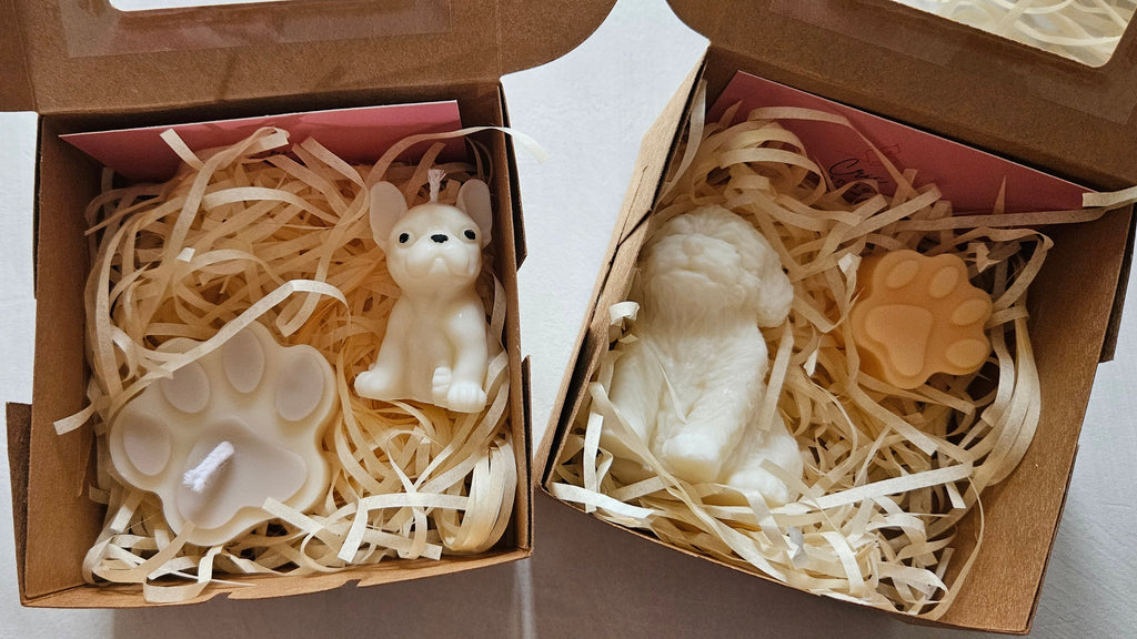 Otto collection 🐾