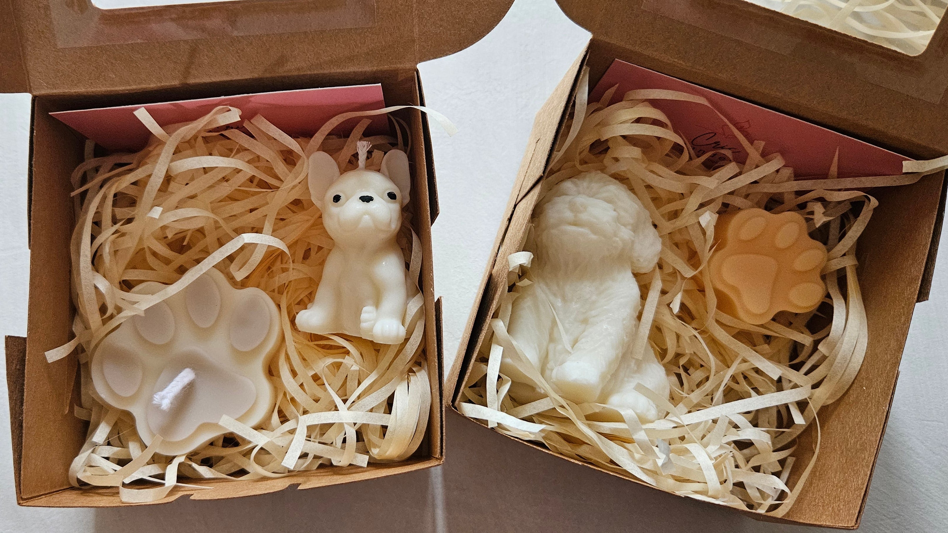 Otto collection 🐾