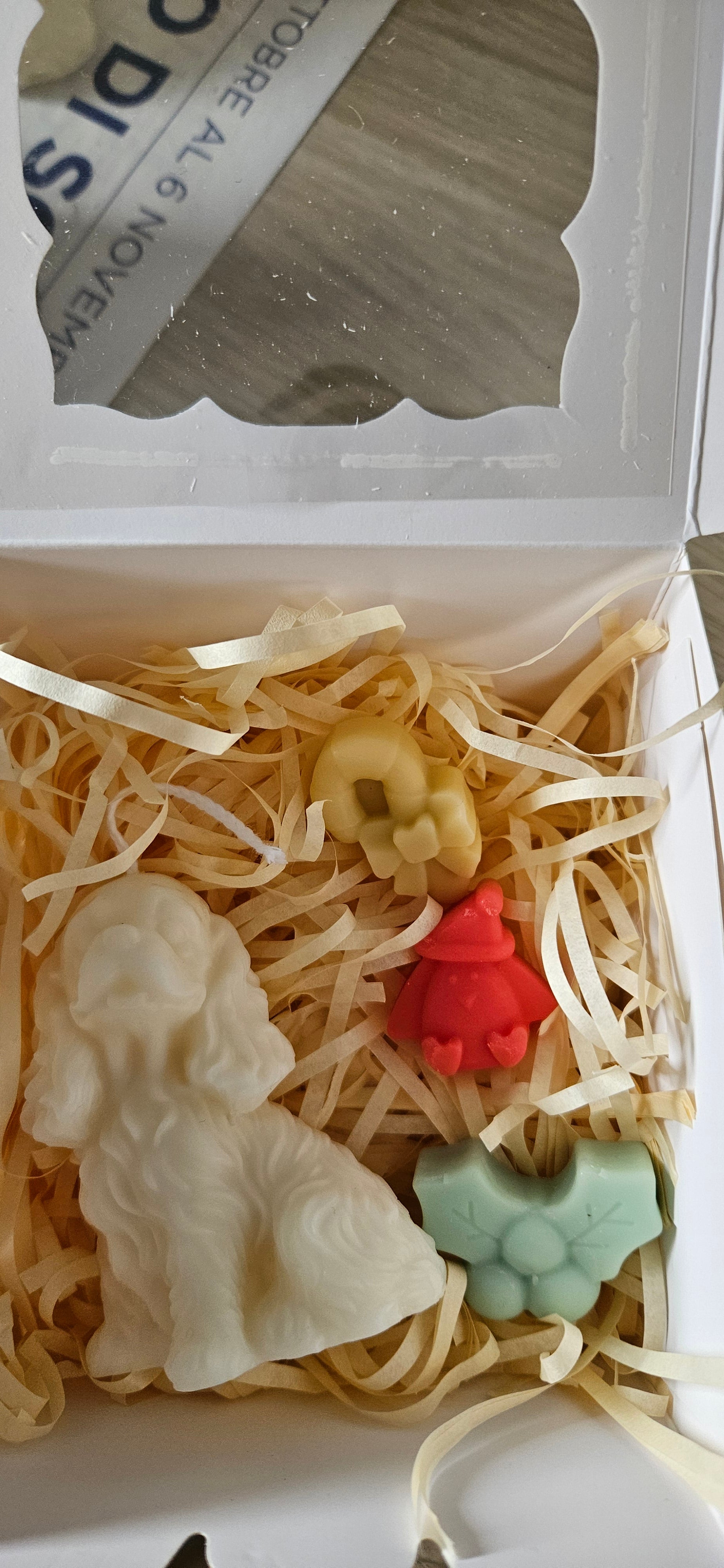 Otto Christmas collection 🐾