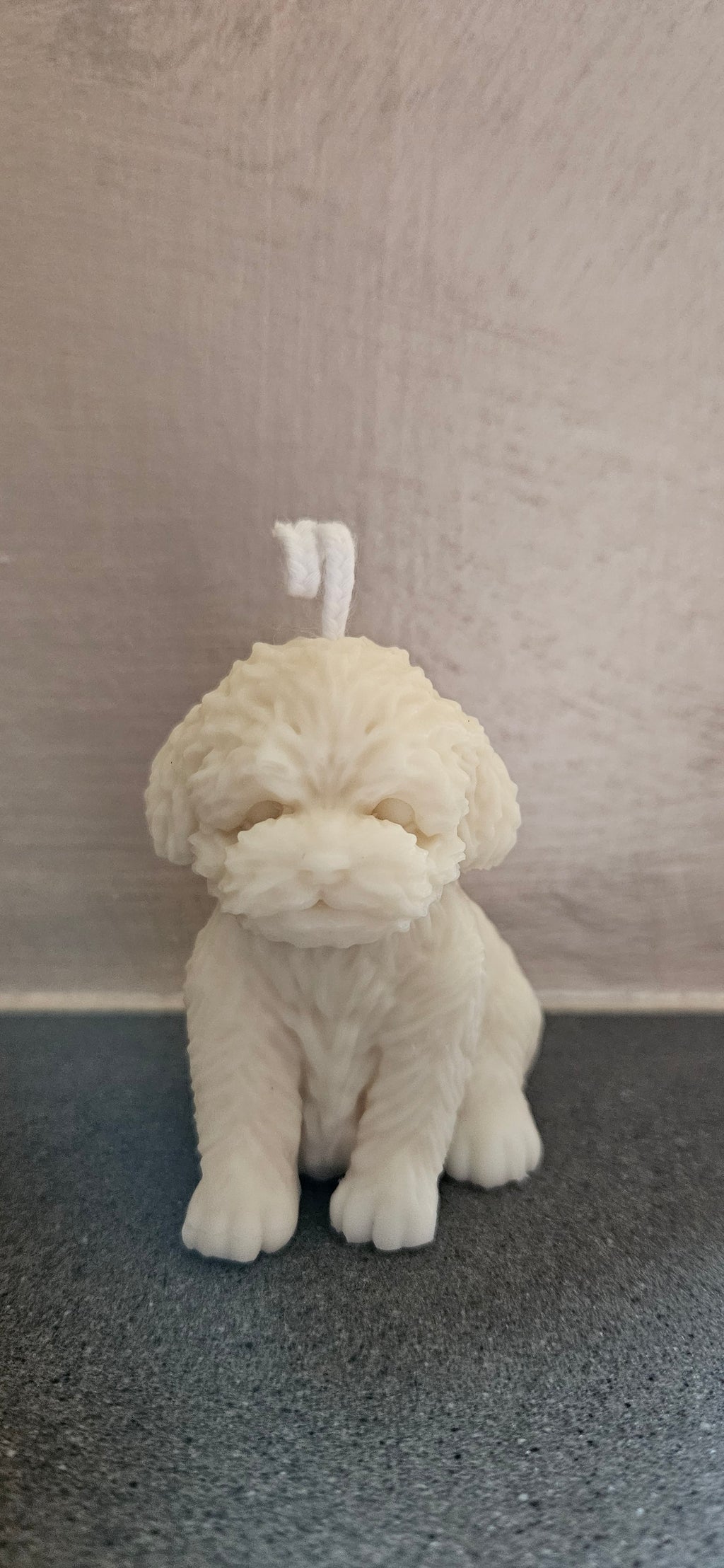 Otto collection 🐾